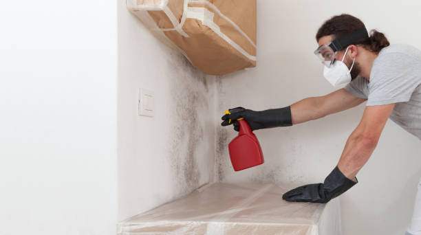 Professional Black Mold Remediation technician working in Richland, GA