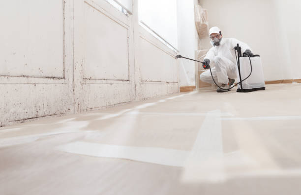 24/7 Emergency Black Mold Remediation experts in Richland, GA